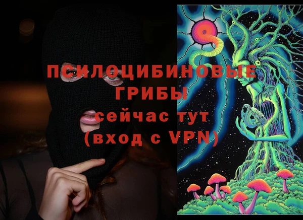 дмт Майский
