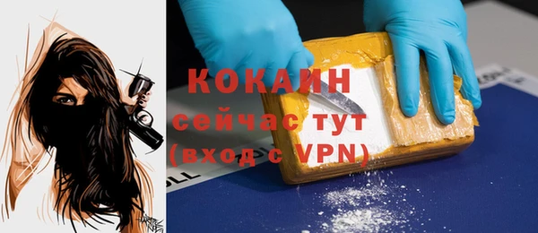 дживик Магас