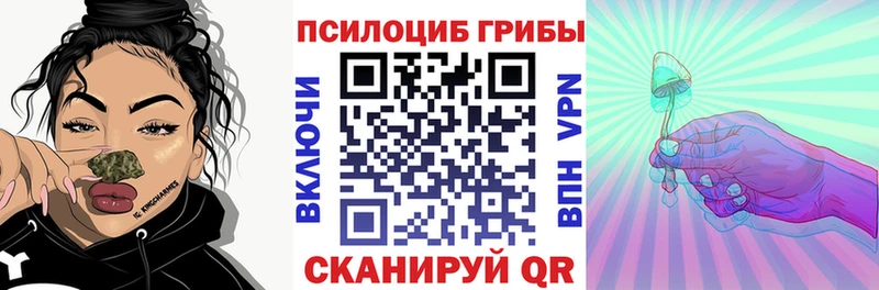 магазин продажи наркотиков  Севастополь  Псилоцибиновые грибы Psilocybine cubensis 