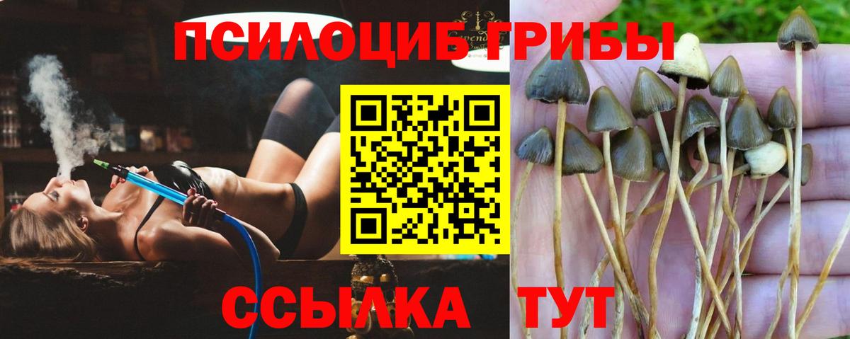 Галлюциногенные грибы GOLDEN TEACHER Севастополь