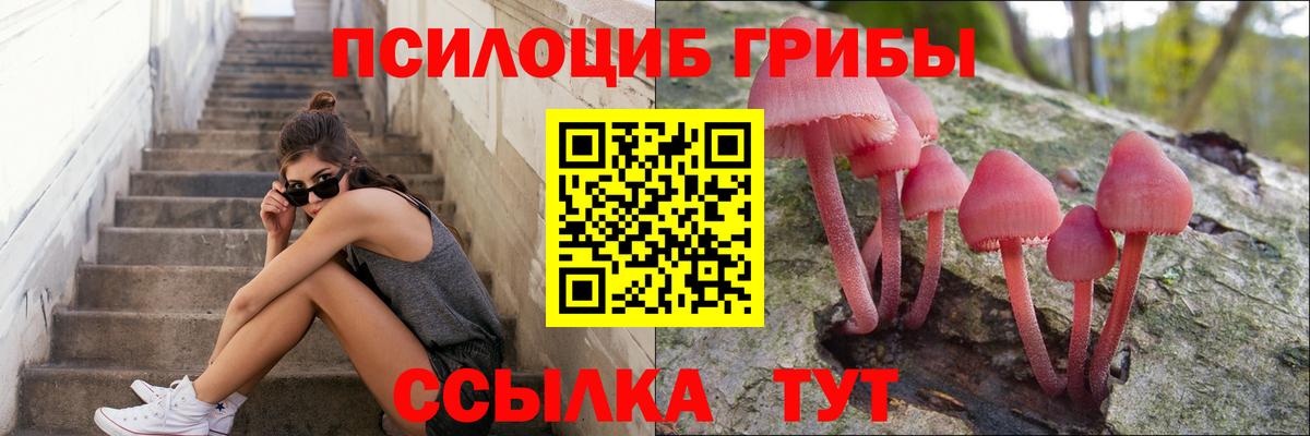Псилоцибиновые грибы мухоморы Севастополь